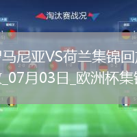 07月03日欧洲杯1/8决赛罗马尼亚vs荷兰进球视频