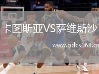卡图斯亚VS萨维斯沙