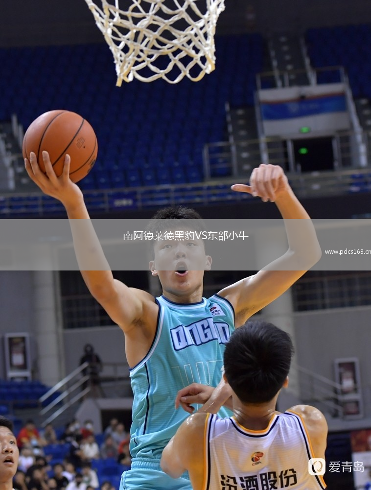 南阿德莱德黑豹VS东部小牛
