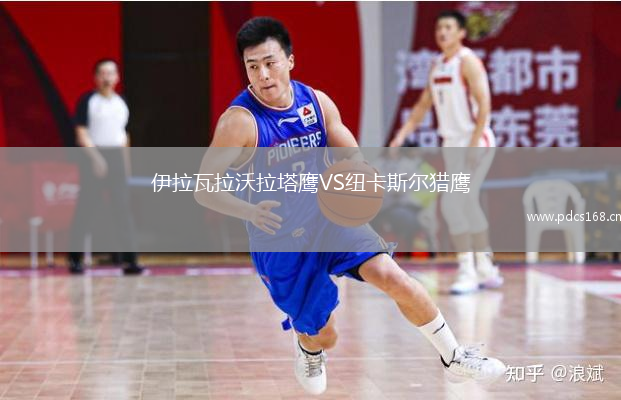 伊拉瓦拉沃拉塔鹰VS纽卡斯尔猎鹰
