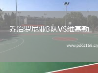乔治罗尼亚B队VS维基勒