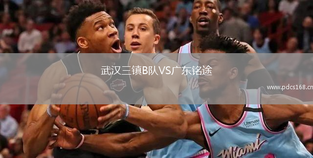武汉三镇B队VS广东铭途