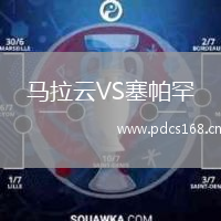 马拉云VS塞帕罕