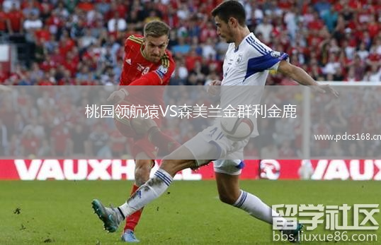 桃园领航猿VS森美兰金群利金鹿
