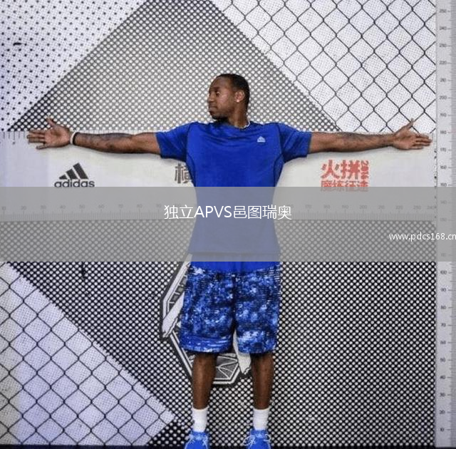 独立APVS邑图瑞奥