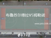 布鲁苏尔德拉VS姆勒诺