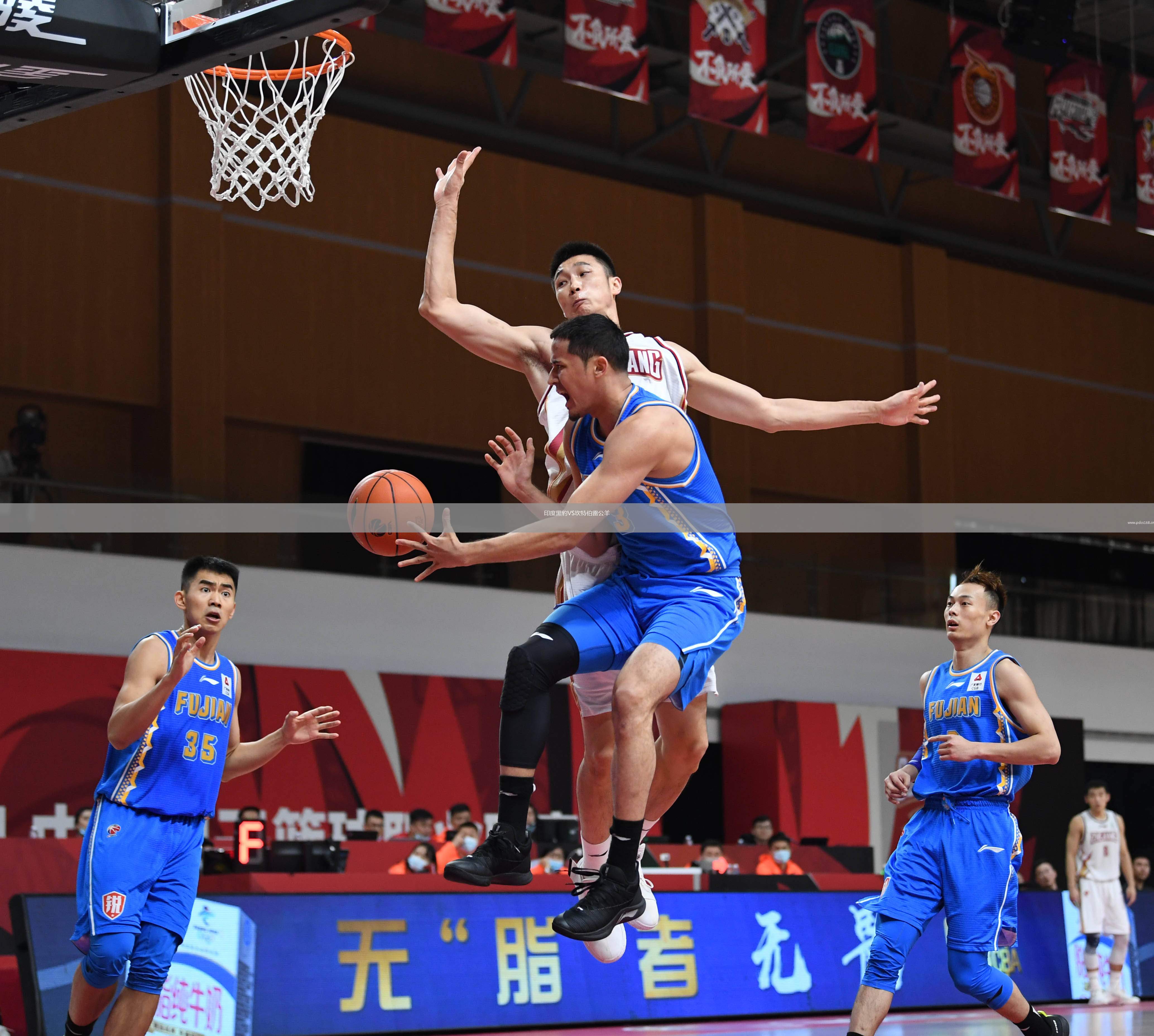 印度黑豹VS坎特伯雷公羊