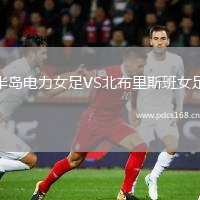 半岛电力女足VS北布里斯班女足