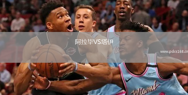 阿拉毕VS塔伊