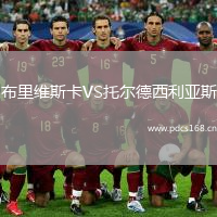 布里维斯卡VS托尔德西利亚斯